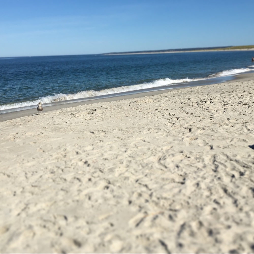 Meet your Posher, Aviva